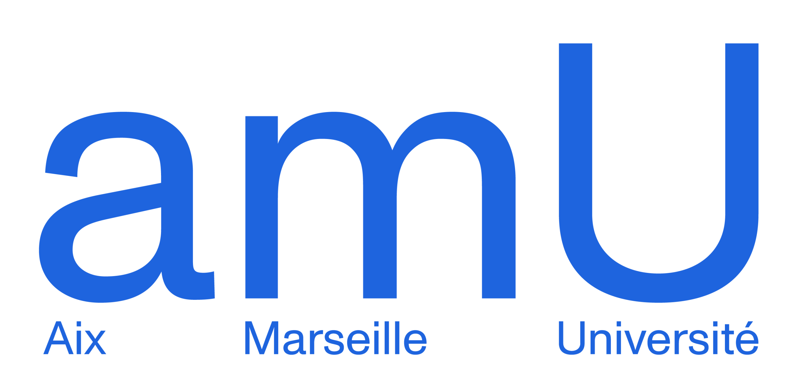 Aix-Marseille University