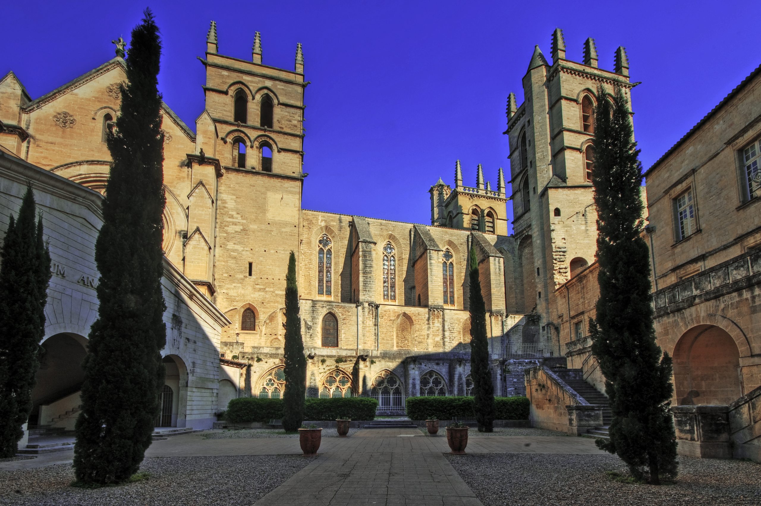 Cathédrale_Saint-Pierre_de_Montpellier_(2403792242)